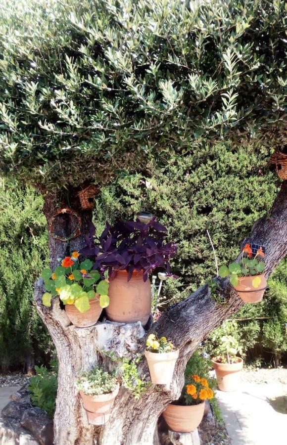 Ferienwohnung Bay Leaves Jaén Exterior foto